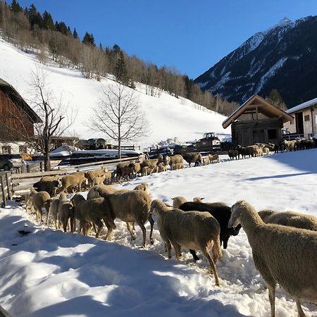Auerhof Villa Schladming Kültér fotó
