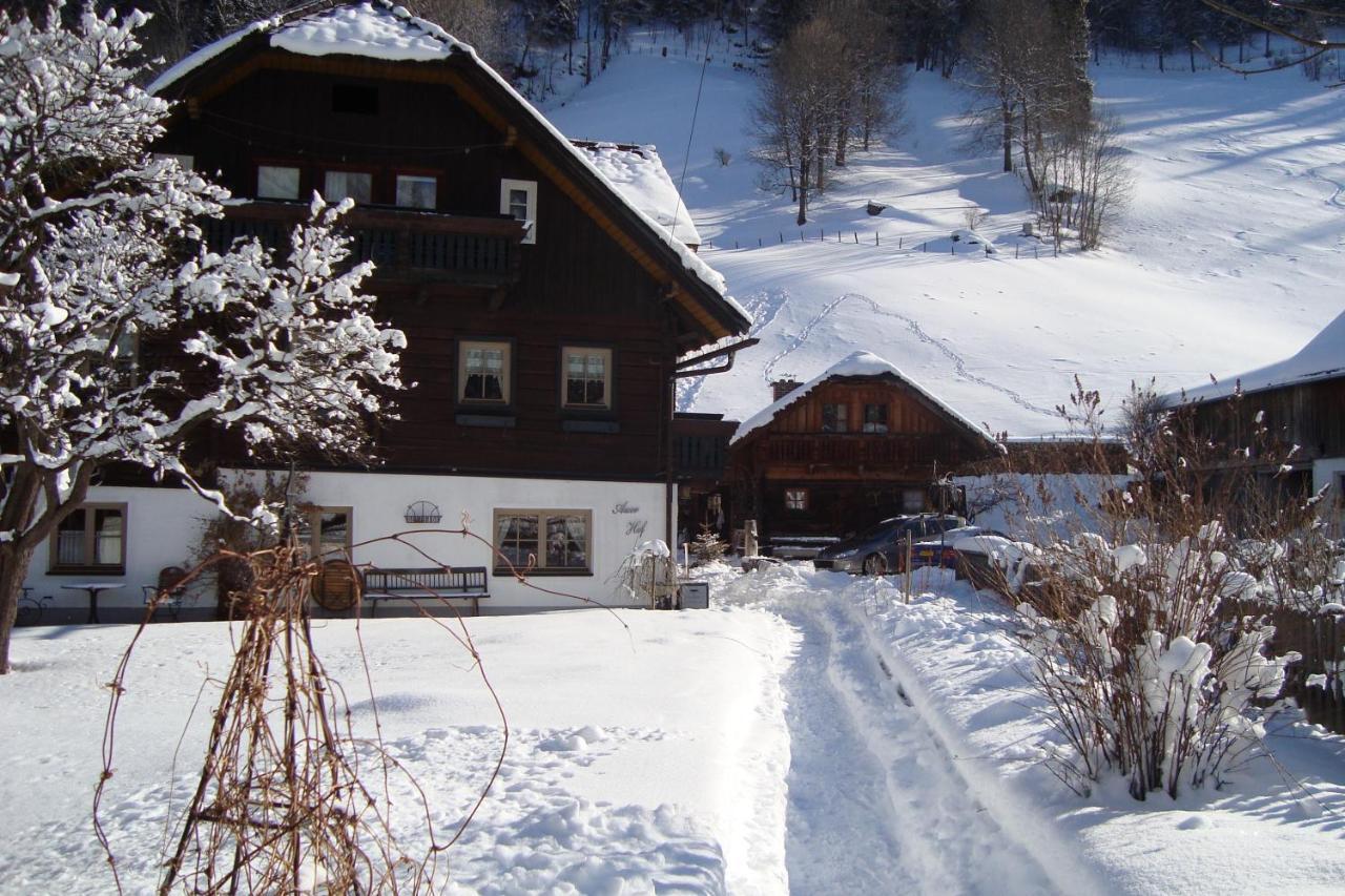 Auerhof Villa Schladming Kültér fotó