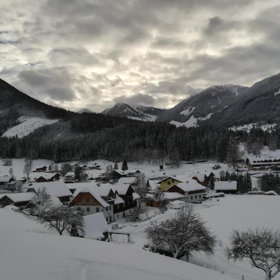 Auerhof Villa Schladming Kültér fotó