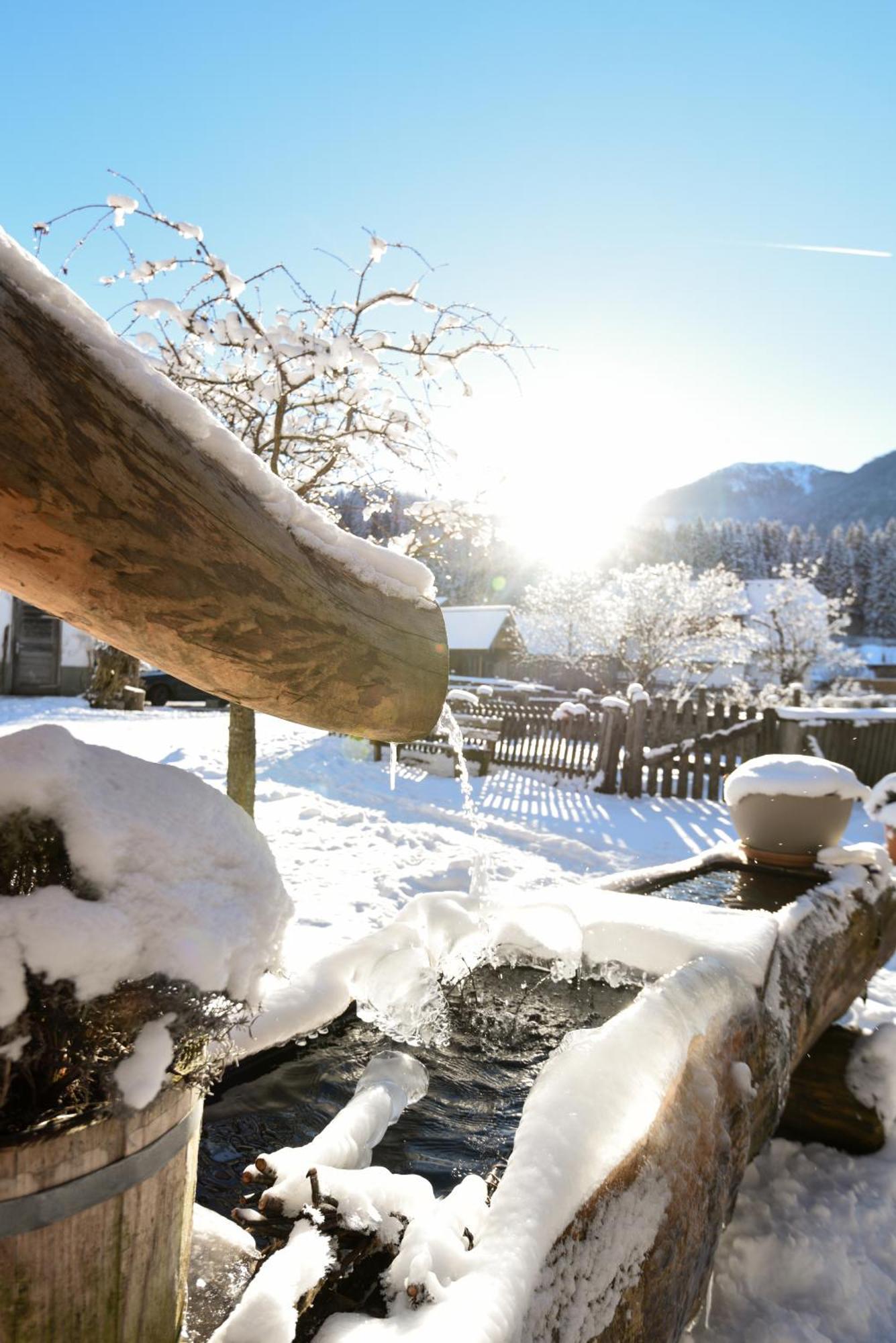 Auerhof Villa Schladming Kültér fotó