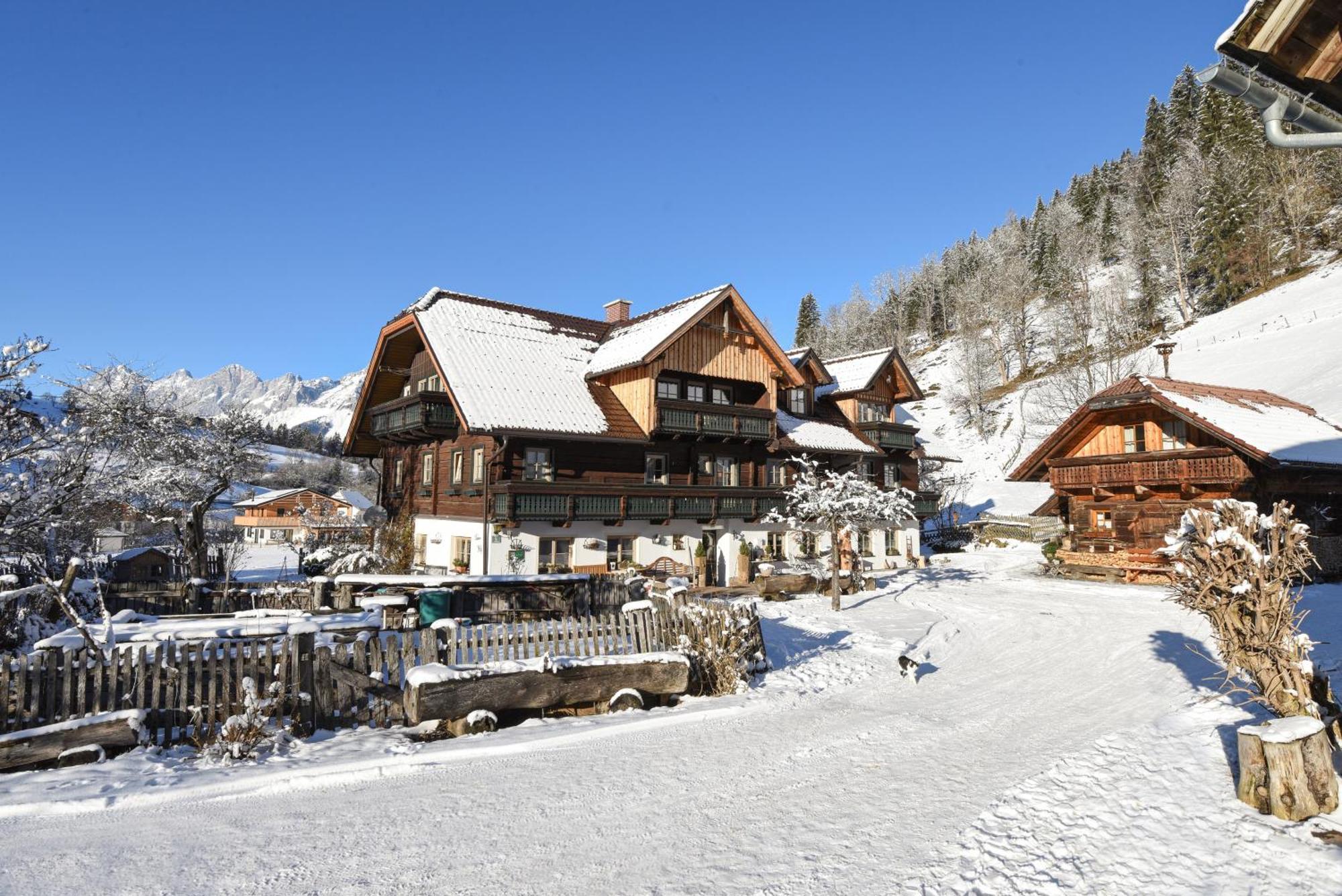 Auerhof Villa Schladming Kültér fotó