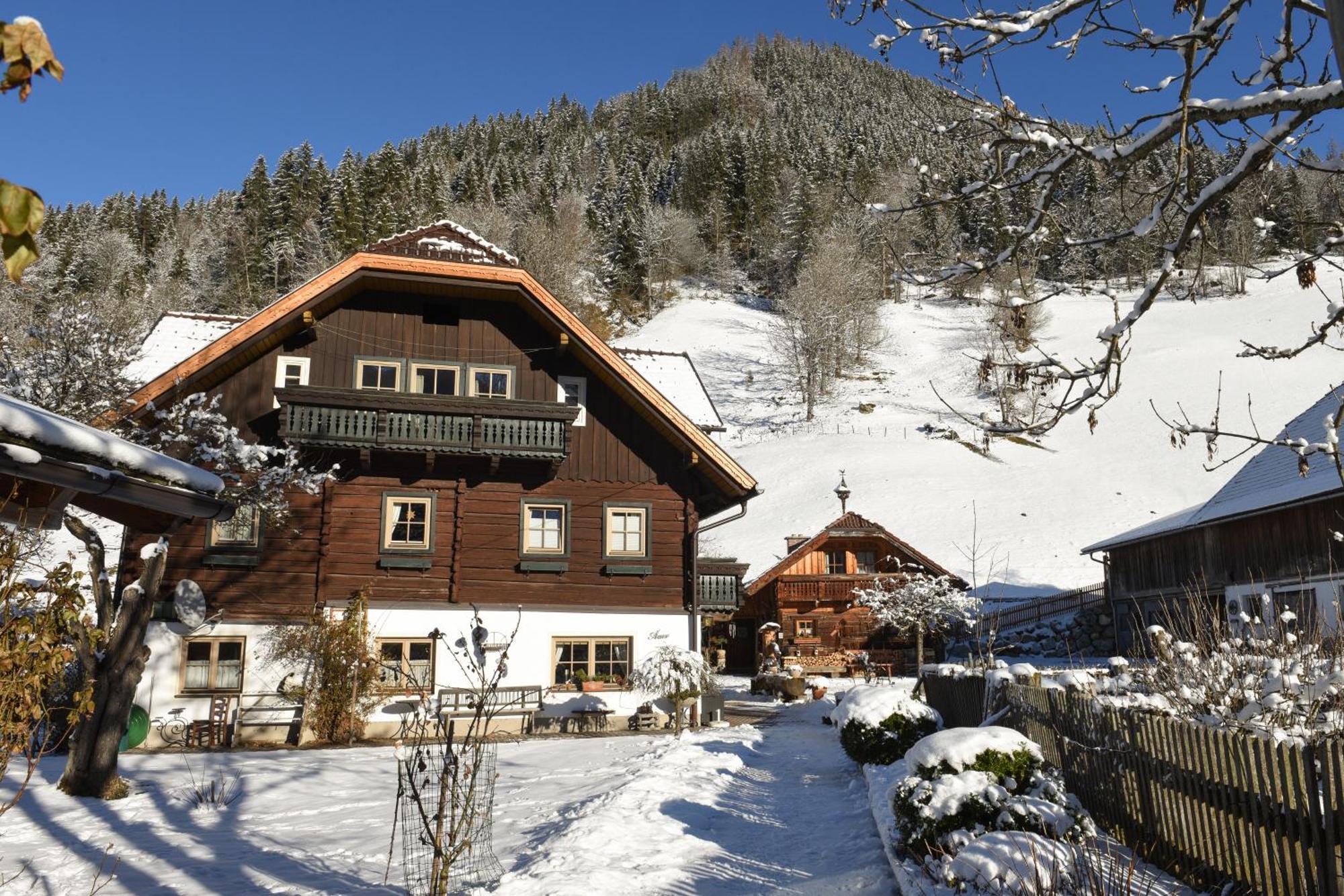 Auerhof Villa Schladming Kültér fotó