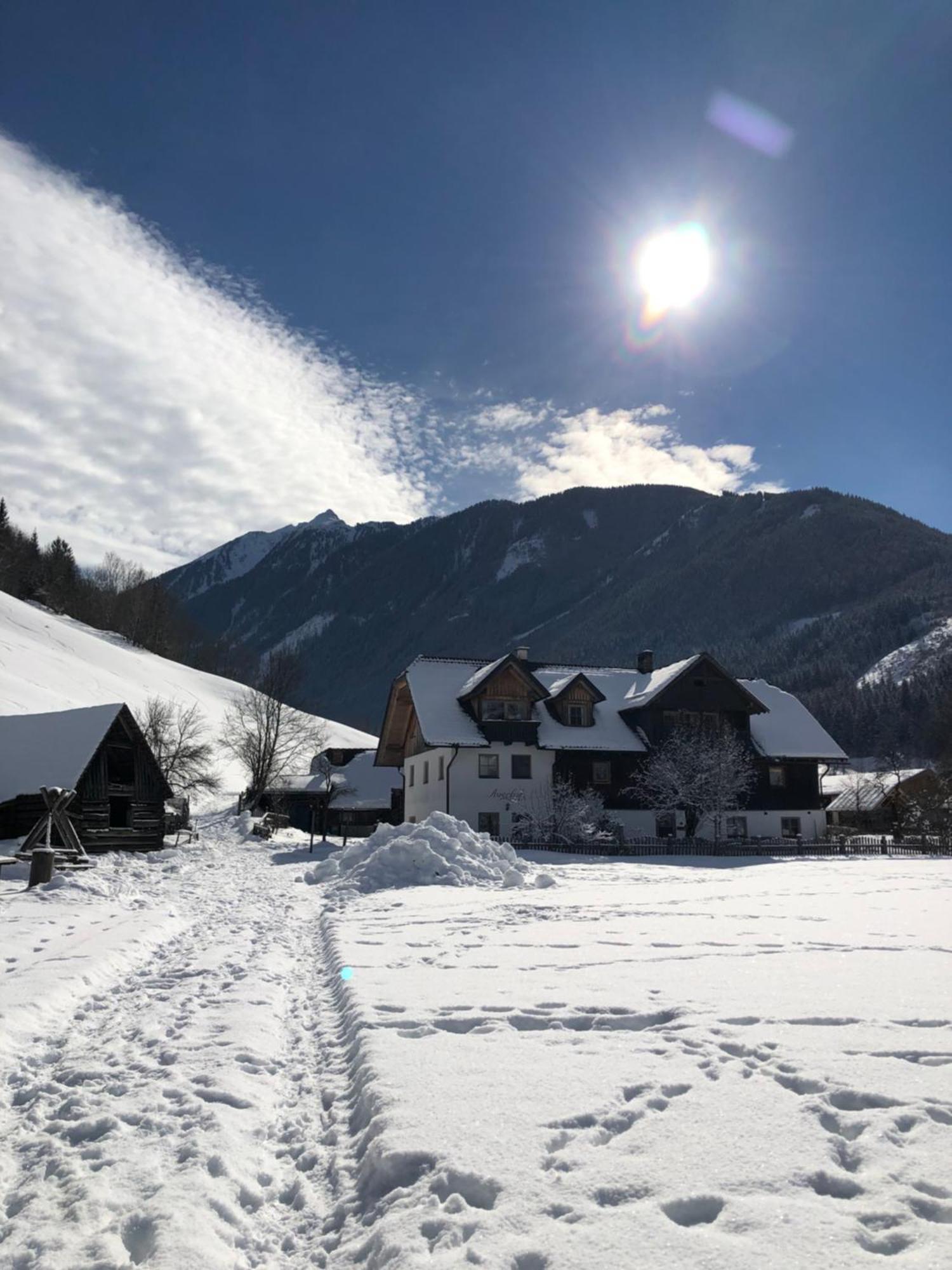 Auerhof Villa Schladming Kültér fotó