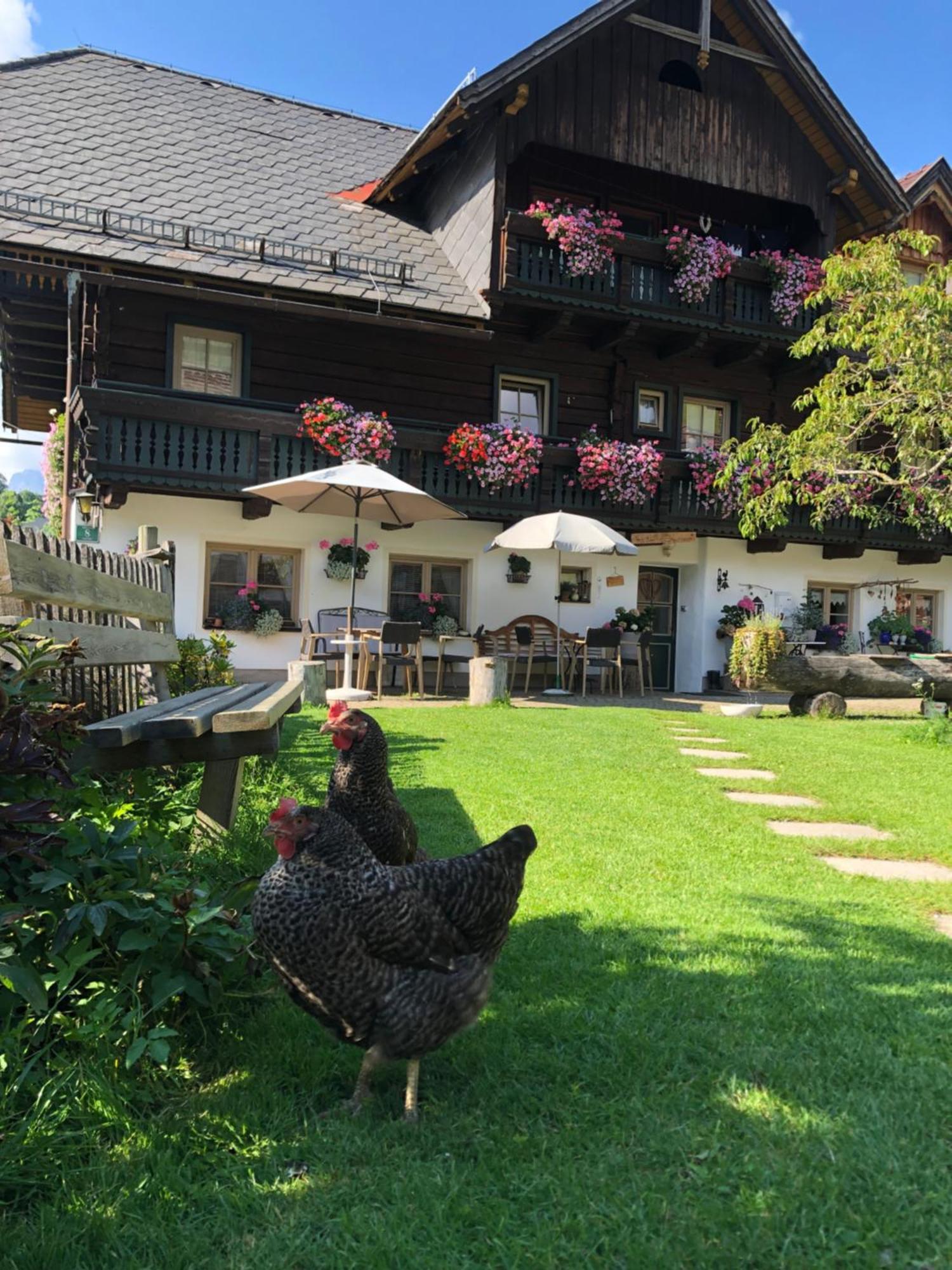 Auerhof Villa Schladming Kültér fotó